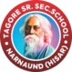 Tagore Sr Sec School Narnaund